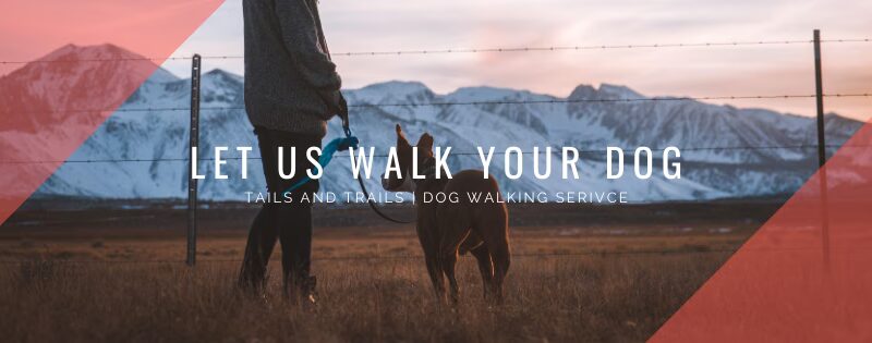 Tails and Trails - Madison, WI