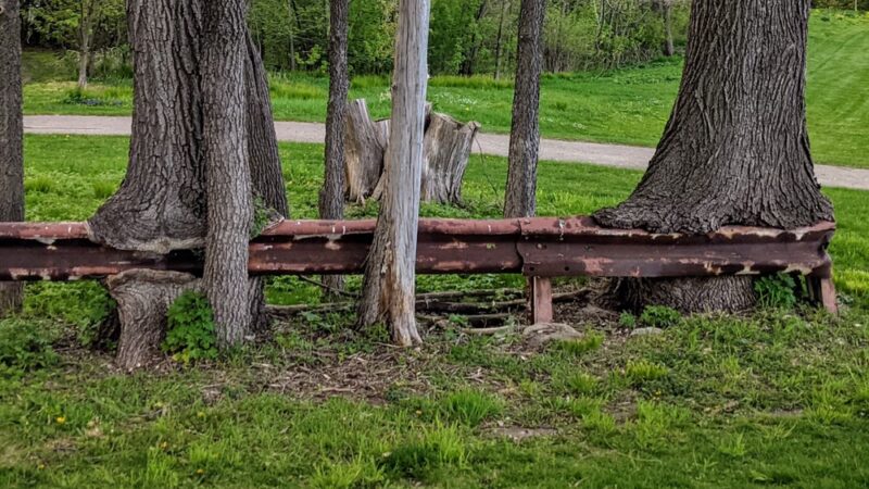 Thut Park - Madison, WI