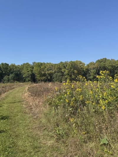 Turville Point Conservation Park - Madison, WI