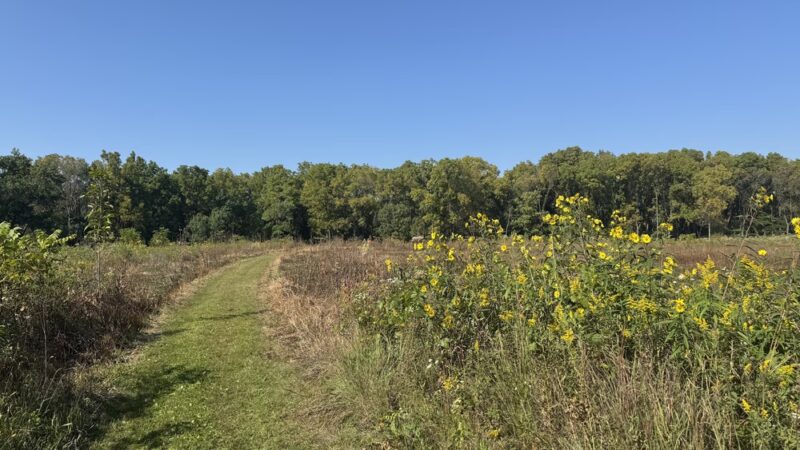 Turville Point Conservation Park - Madison, WI