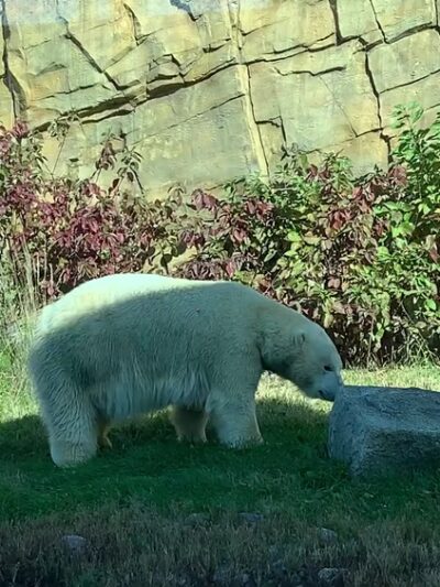 Vilas (Henry) Park - Madison, WI