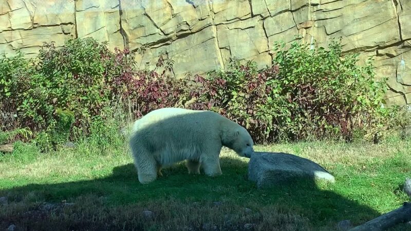 Vilas (Henry) Park - Madison, WI