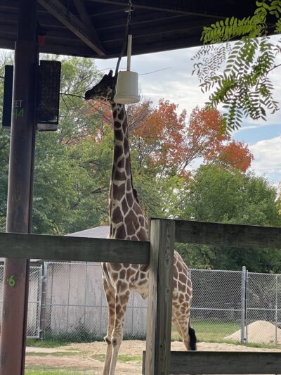 Vilas (Henry) Park - Madison, WI