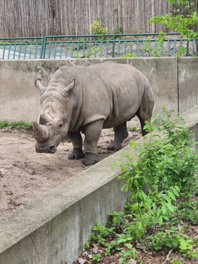 Vilas (Henry) Park - Madison, WI