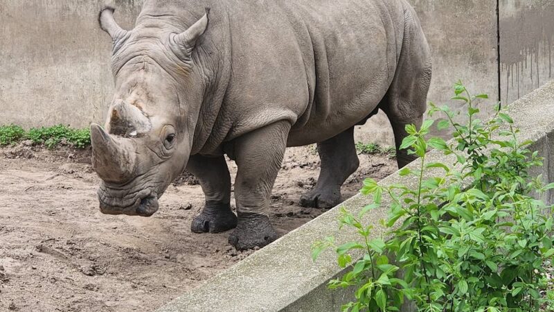 Vilas (Henry) Park - Madison, WI