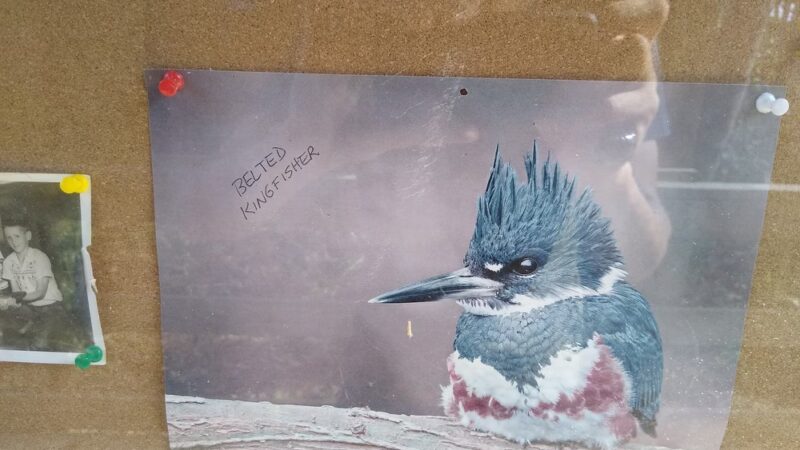 Magnolia Landing - Magnolia Springs, AL