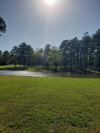 Oak Hollow Park - Magnolia, TX