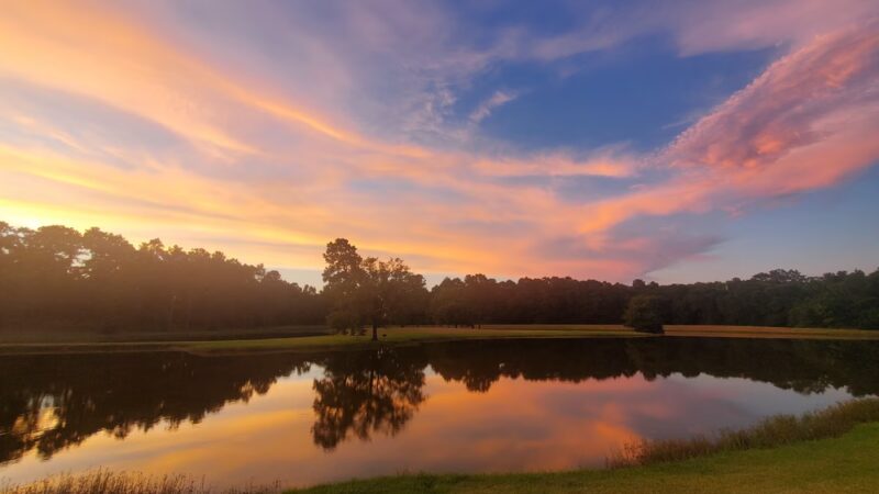Oak Hollow Park - Magnolia, TX