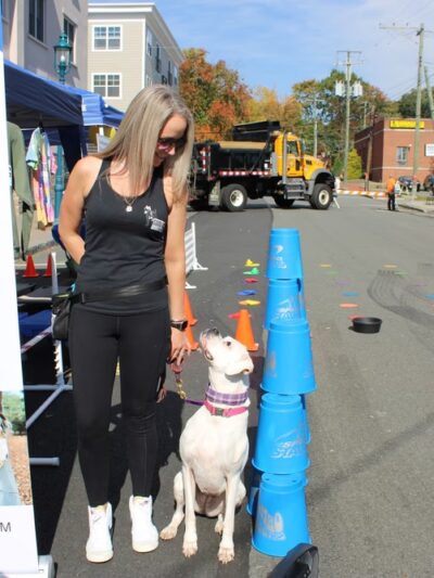 Good Dog Pet Training - Mahwah, NJ