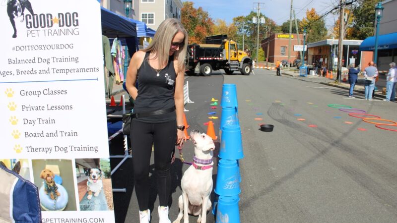 Good Dog Pet Training - Mahwah, NJ