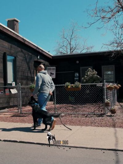 Good Dog Pet Training - Mahwah, NJ