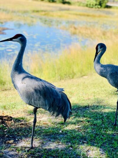 Malabar Community Park - Malabar, FL