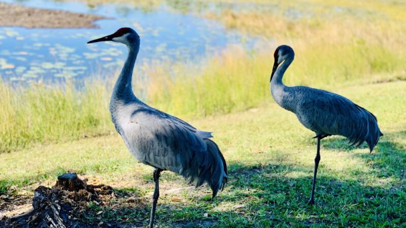 Malabar Community Park - Malabar, FL