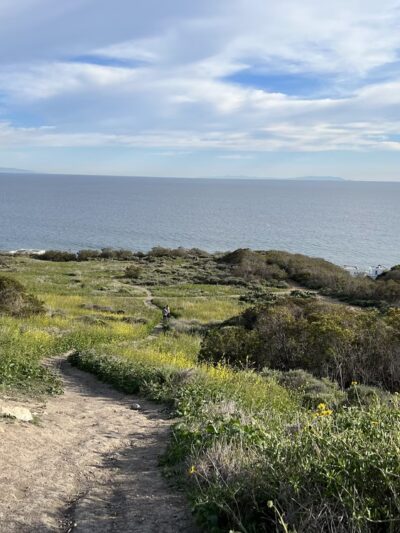 Malibu Bluffs Park - Malibu, CA