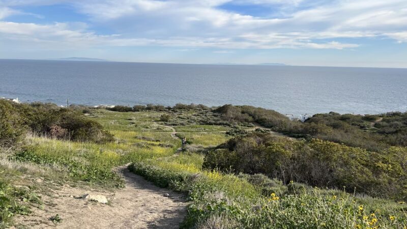 Malibu Bluffs Park - Malibu, CA