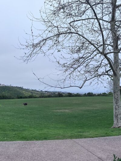 Trancas Canyon Park - Malibu, CA