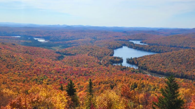 Malone Rec Park - Malone, NY