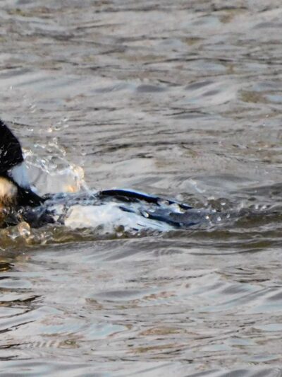 Fond Du Lac County Park - Malone, WI