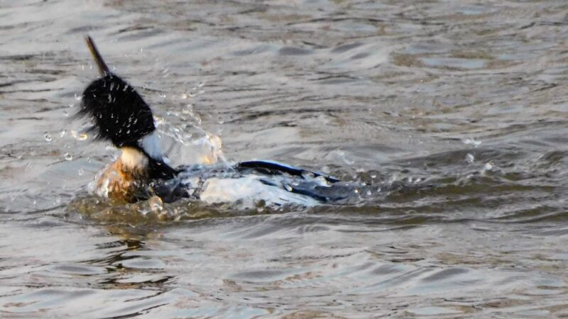Fond Du Lac County Park - Malone, WI