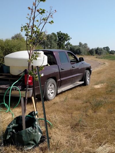 M Trail Parking & Access - Malta, MT
