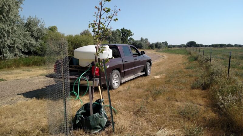 M Trail Parking & Access - Malta, MT