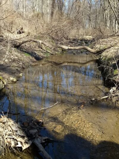 Natural Lands' Willisbrook Preserve - Malvern, PA