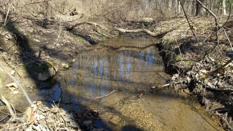 Natural Lands' Willisbrook Preserve - Malvern, PA