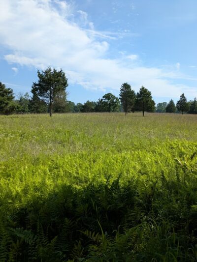 Natural Lands' Willisbrook Preserve - Malvern, PA