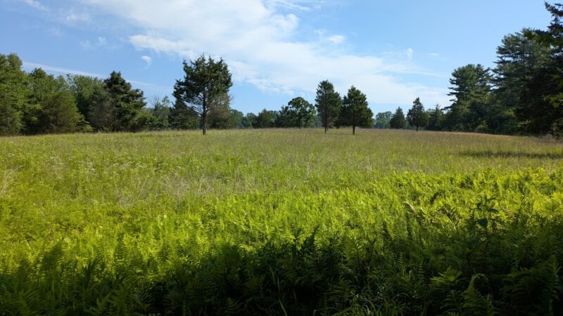 Natural Lands' Willisbrook Preserve - Malvern, PA