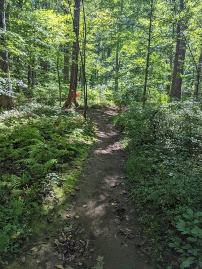 Natural Lands' Willisbrook Preserve - Malvern, PA