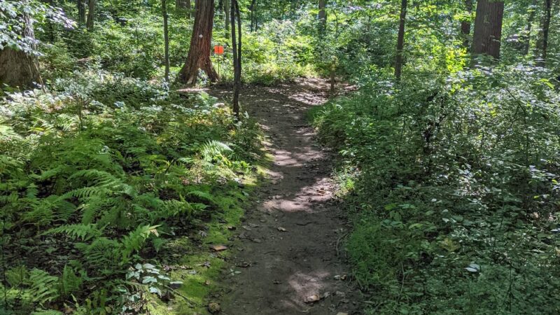 Natural Lands' Willisbrook Preserve - Malvern, PA