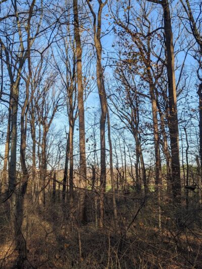 Serpentine Preserve - Malvern, PA