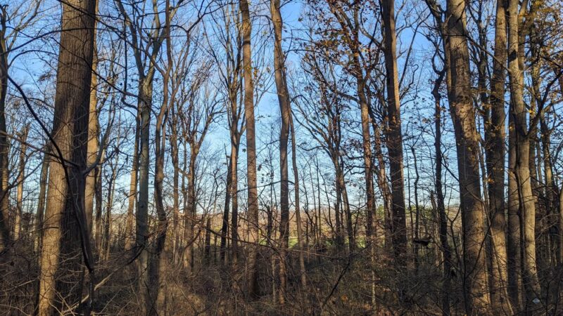 Serpentine Preserve - Malvern, PA