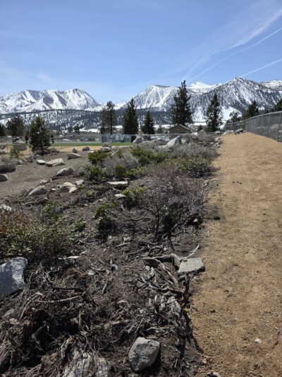 Mammoth Lakes Community Dog Park - Mammoth Lakes, CA