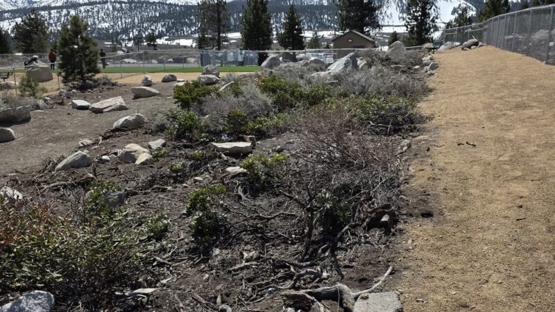 Mammoth Lakes Community Dog Park - Mammoth Lakes, CA