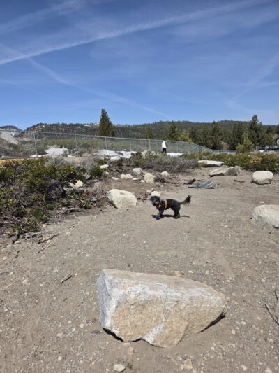 Mammoth Lakes Community Dog Park - Mammoth Lakes, CA