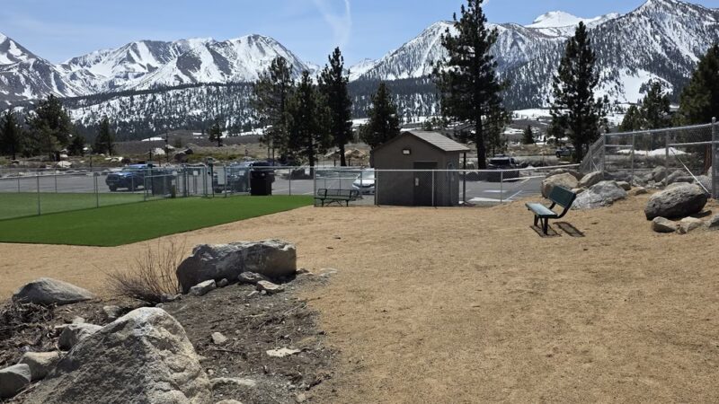 Mammoth Lakes Community Dog Park - Mammoth Lakes, CA