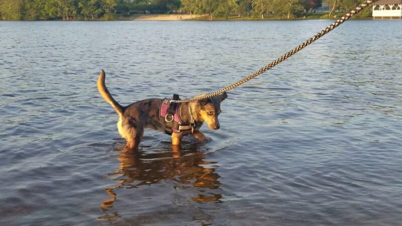 Manahawkin Lake Park III - Manahawkin, NJ