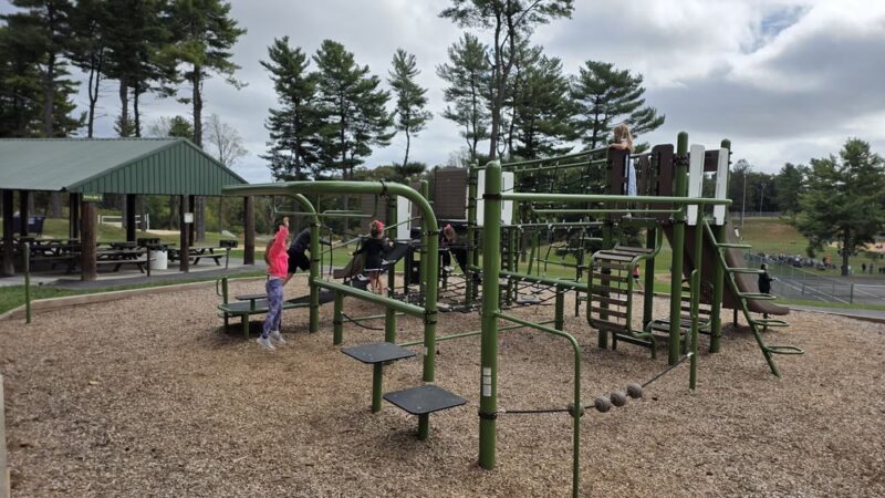 Christmas Tree Park - Manchester, MD