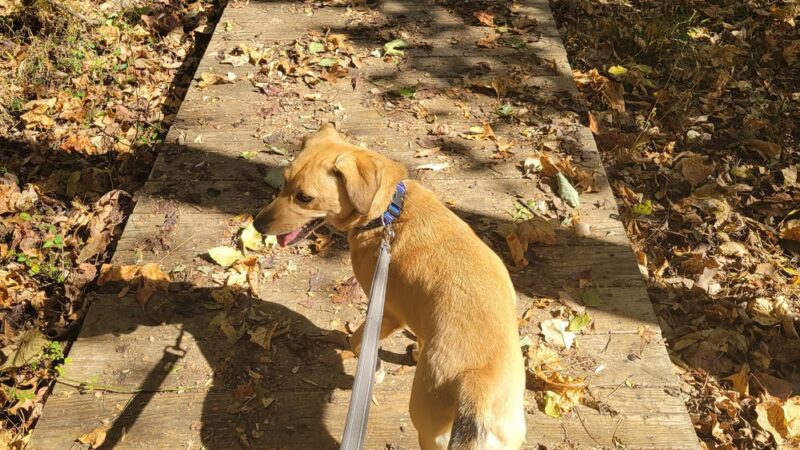 Pine Valley Park - Manchester, MD