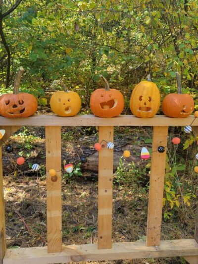 Pine Valley Park - Manchester, MD