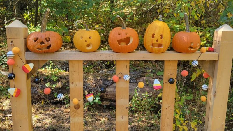 Pine Valley Park - Manchester, MD