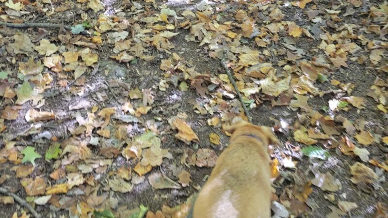 Pine Valley Park - Manchester, MD