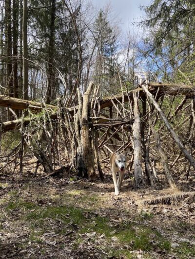 Pine Valley Park - Manchester, MD