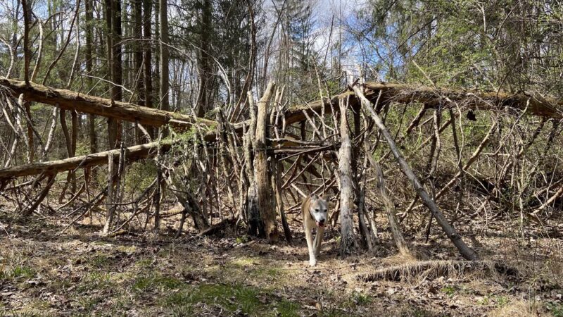 Pine Valley Park - Manchester, MD