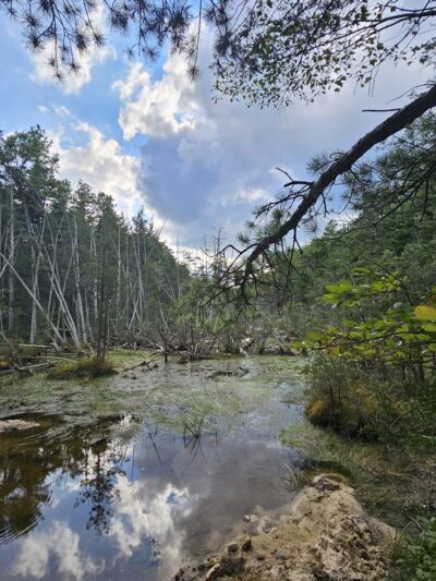 Harry Wright Lake - Manchester Township, NJ