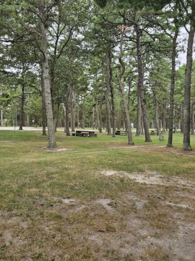 Harry Wright Lake Playground - Manchester Township, NJ