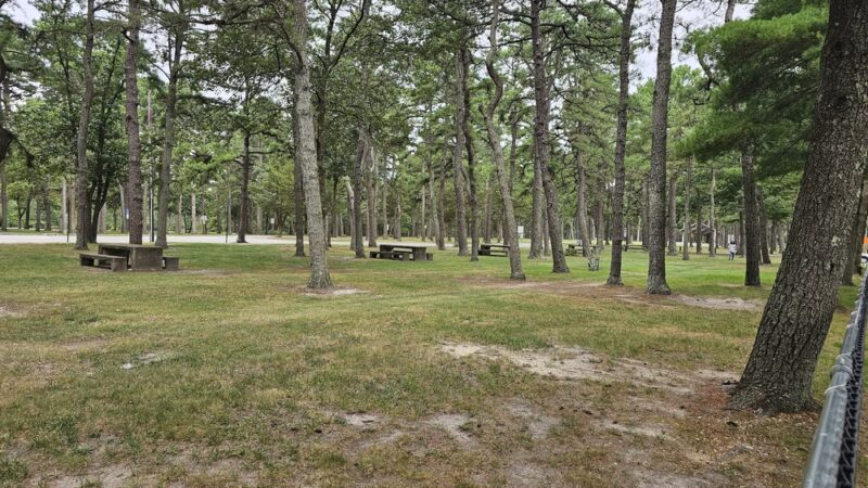 Harry Wright Lake Playground - Manchester Township, NJ