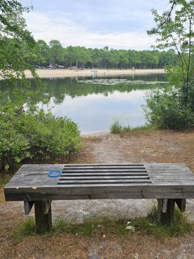 Harry Wright Lake Playground - Manchester Township, NJ