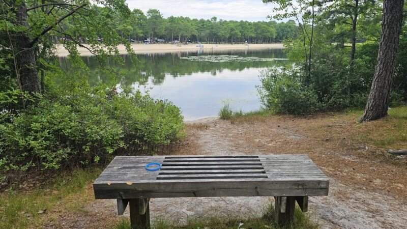 Harry Wright Lake Playground - Manchester Township, NJ
